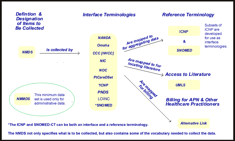 Standardized Terminologies by Types