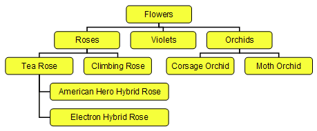Taxonomy
